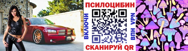 shop состав  Подпорожье  MEGA ТОР  Псилоцибиновые грибы GOLDEN TEACHER  где найти наркотики 